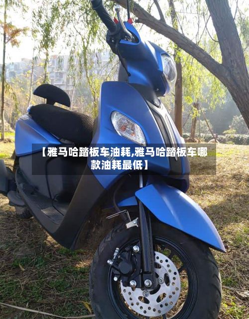 【雅马哈踏板车油耗,雅马哈踏板车哪款油耗最低】-第2张图片