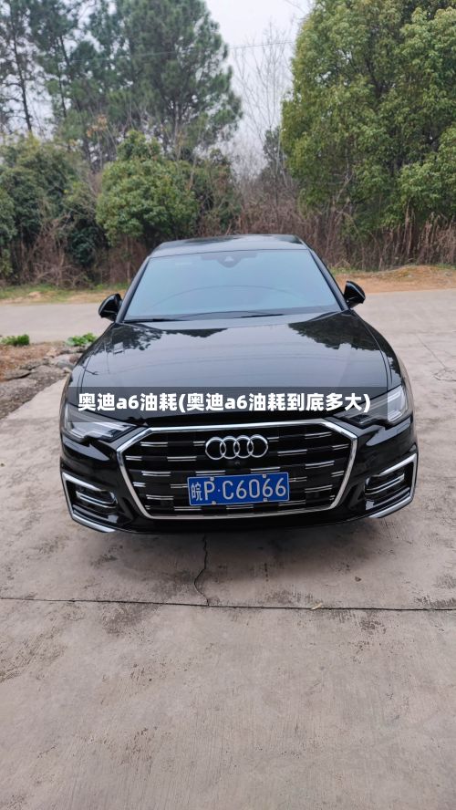 奥迪a6油耗(奥迪a6油耗到底多大)