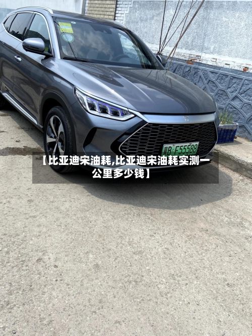 【比亚迪宋油耗,比亚迪宋油耗实测一公里多少钱】-第2张图片