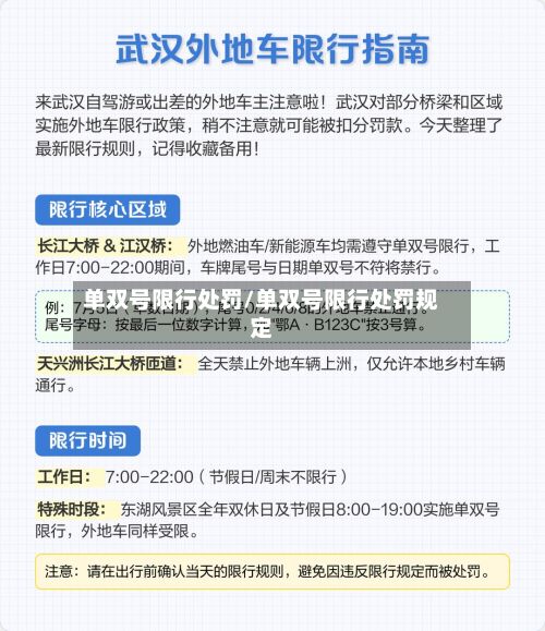 单双号限行处罚/单双号限行处罚规定-第2张图片