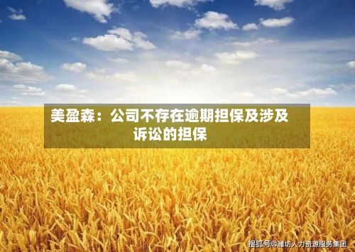 美盈森:公司不存在逾期担保及涉及诉讼的担保-第2张图片