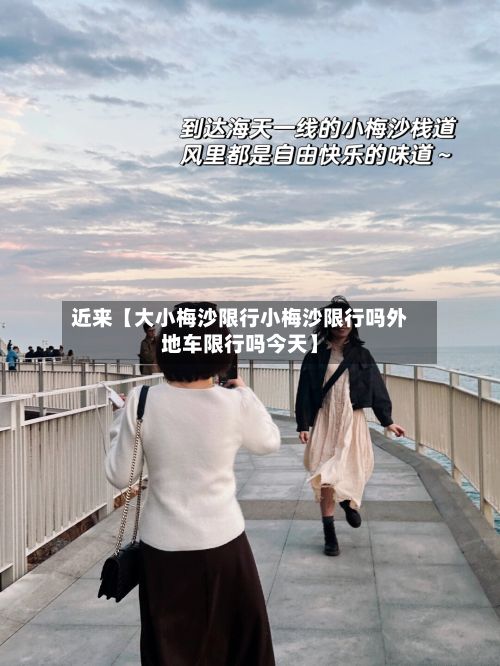 近来【大小梅沙限行小梅沙限行吗外地车限行吗今天】-第2张图片