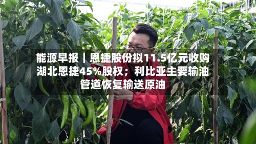 能源早报｜恩捷股份拟11.5亿元收购湖北恩捷45%股权；利比亚主要输油管道恢复输送原油