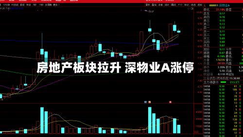 房地产板块拉升 深物业A涨停