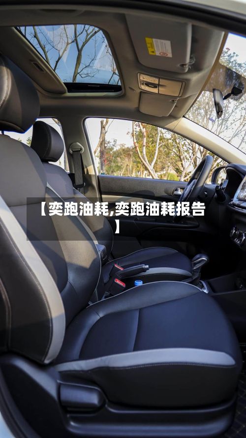【奕跑油耗,奕跑油耗报告】-第3张图片