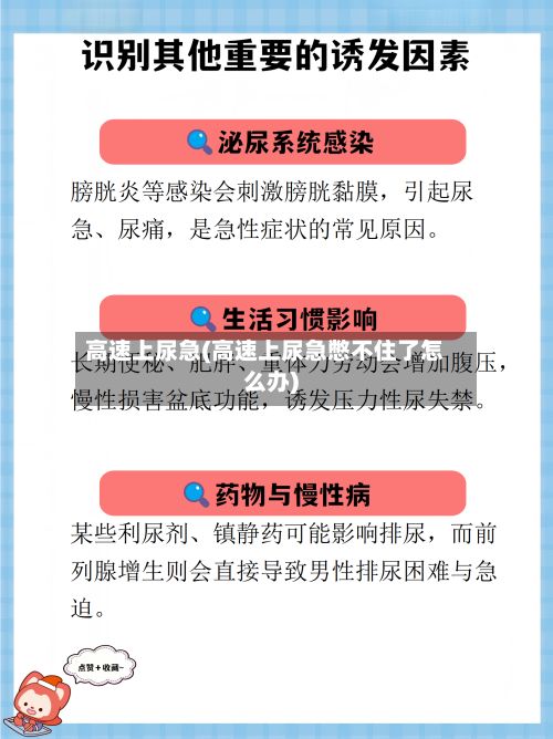 高速上尿急(高速上尿急憋不住了怎么办)