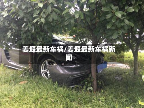 姜堰最新车祸/姜堰最新车祸新闻-第3张图片