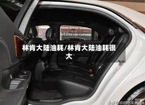 林肯大陆油耗/林肯大陆油耗很大