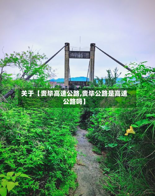 关于【贵毕高速公路,贵毕公路是高速公路吗】-第3张图片