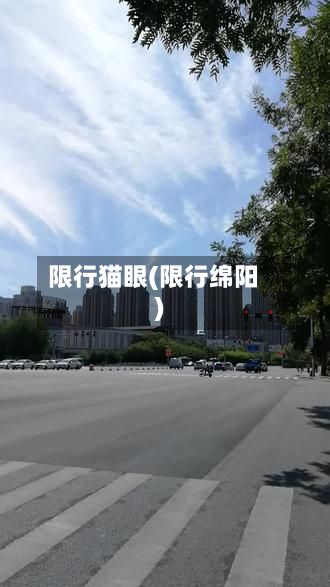 限行猫眼(限行绵阳)-第2张图片