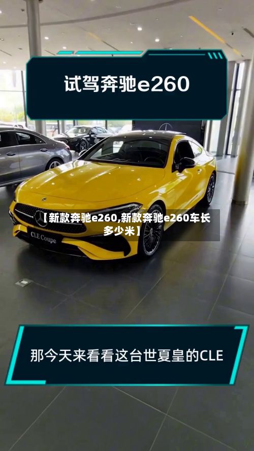 【新款奔驰e260,新款奔驰e260车长多少米】-第2张图片