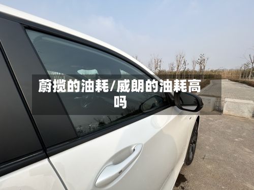 蔚揽的油耗/威朗的油耗高吗