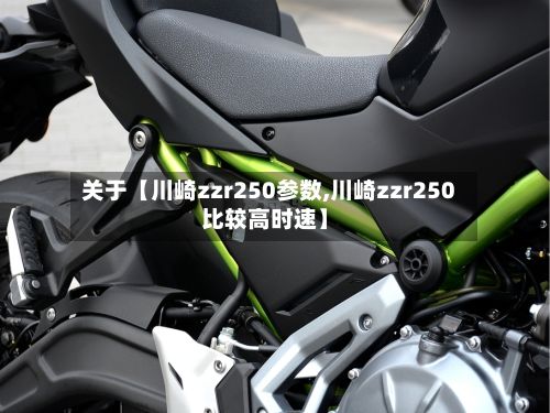 关于【川崎zzr250参数,川崎zzr250比较高时速】-第2张图片
