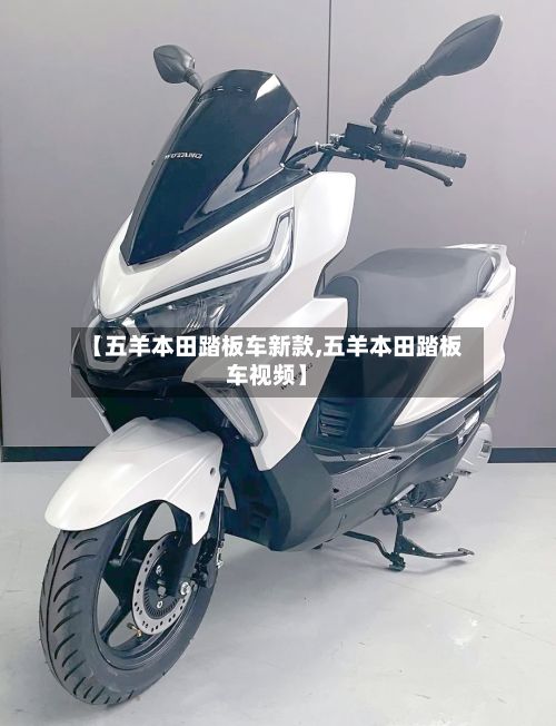 【五羊本田踏板车新款,五羊本田踏板车视频】-第2张图片