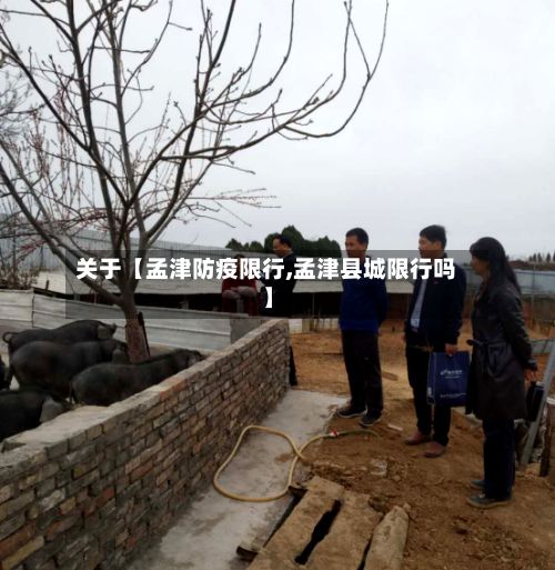 关于【孟津防疫限行,孟津县城限行吗】-第2张图片