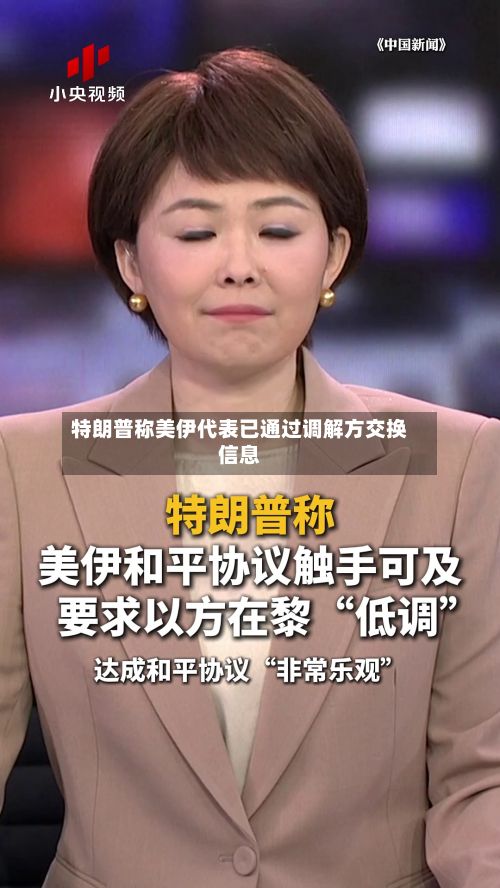 特朗普称美伊代表已通过调解方交换信息-第2张图片