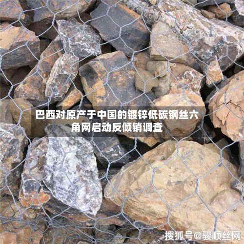 巴西对原产于中国的镀锌低碳钢丝六角网启动反倾销调查-第2张图片