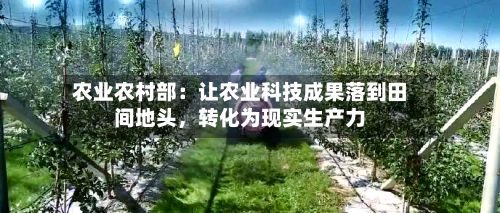 农业农村部：让农业科技成果落到田间地头，转化为现实生产力