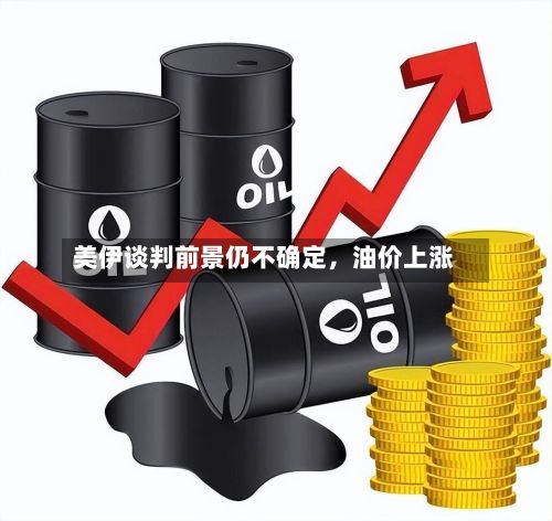 美伊谈判前景仍不确定	，油价上涨-第2张图片