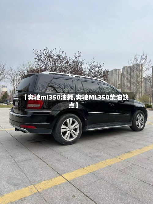 【奔驰ml350油耗,奔驰ML350柴油缺点】-第2张图片