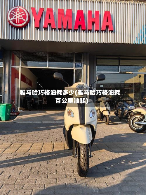 雅马哈巧格油耗多少(雅马哈巧格油耗百公里油耗)