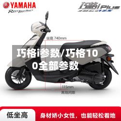 巧格i参数/巧格100全部参数-第2张图片