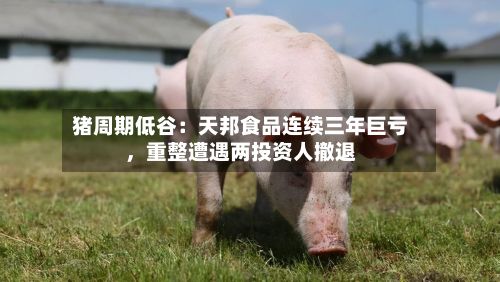 猪周期低谷：天邦食品连续三年巨亏，重整遭遇两投资人撤退-第3张图片