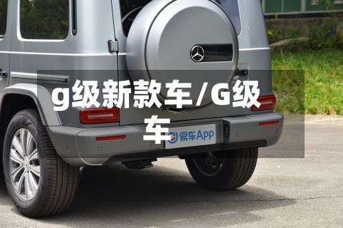 g级新款车/G级车