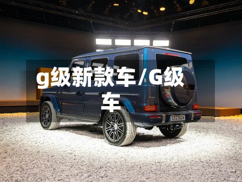 g级新款车/G级车-第2张图片