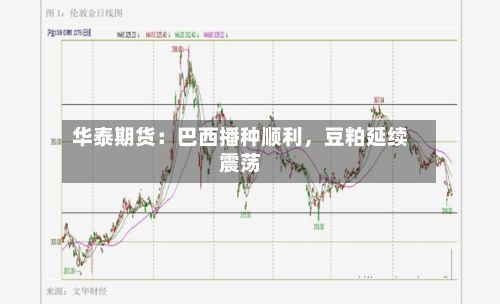 华泰期货：巴西播种顺利，豆粕延续震荡-第2张图片