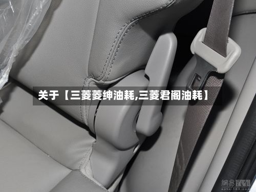 关于【三菱菱绅油耗,三菱君阁油耗】-第1张图片