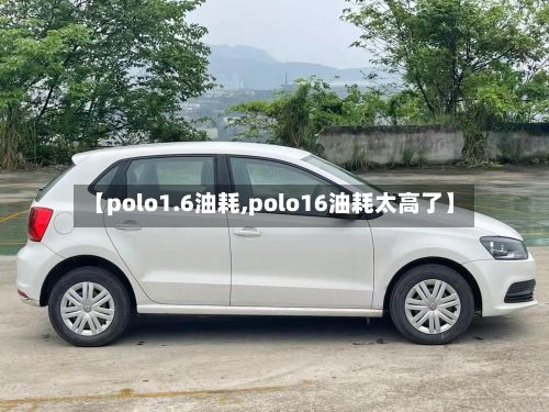 【polo1.6油耗,polo16油耗太高了】-第1张图片