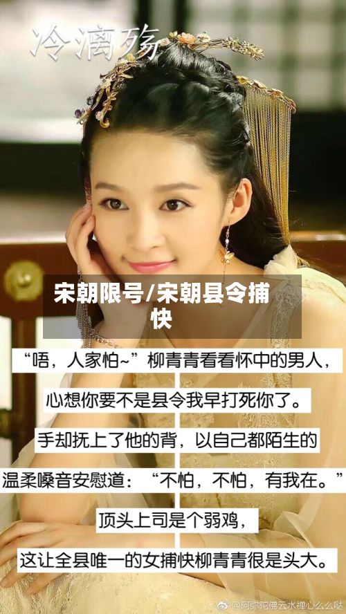 宋朝限号/宋朝县令捕快-第1张图片