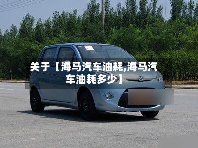 关于【海马汽车油耗,海马汽车油耗多少】-第2张图片