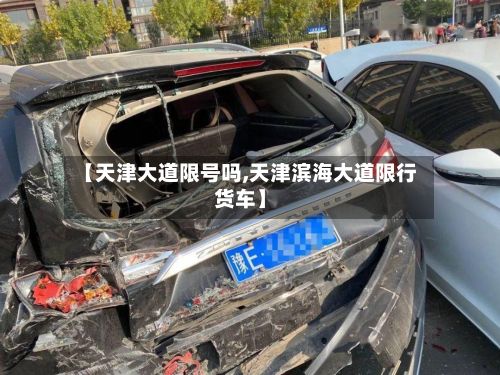 【天津大道限号吗,天津滨海大道限行货车】-第2张图片