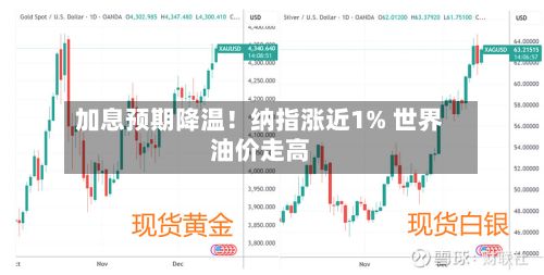 加息预期降温!纳指涨近1% 世界
油价走高-第3张图片