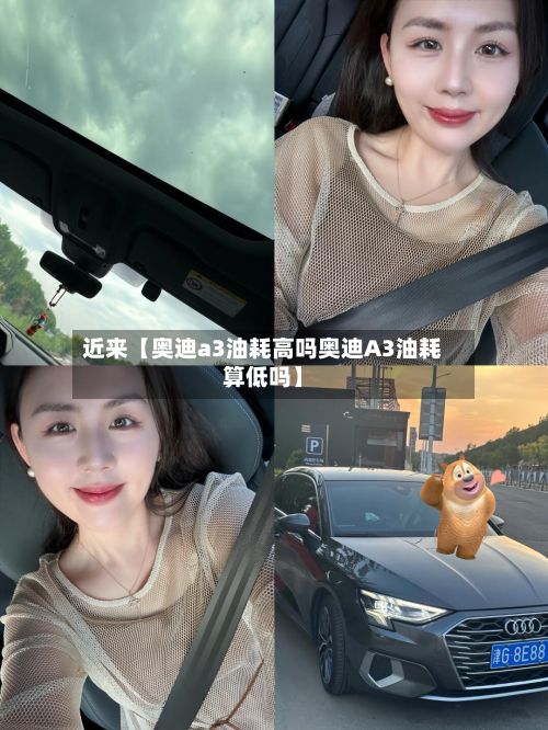 近来【奥迪a3油耗高吗奥迪A3油耗算低吗】