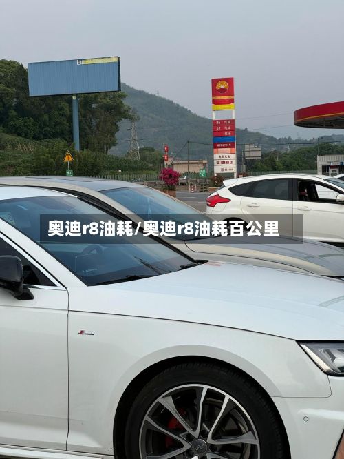 奥迪r8油耗/奥迪r8油耗百公里-第3张图片
