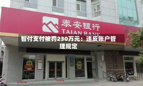 智付支付被罚230万元:违反账户管理规定-第1张图片