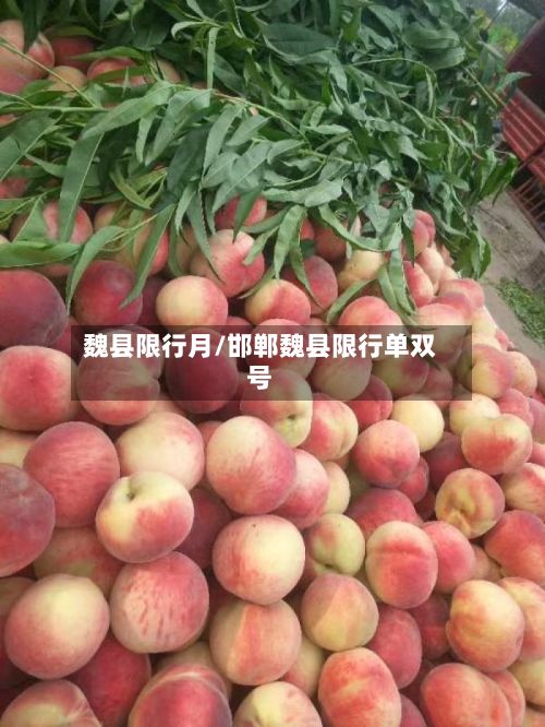魏县限行月/邯郸魏县限行单双号-第2张图片