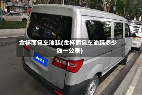 金杯面包车油耗(金杯面包车油耗多少钱一公里)-第1张图片
