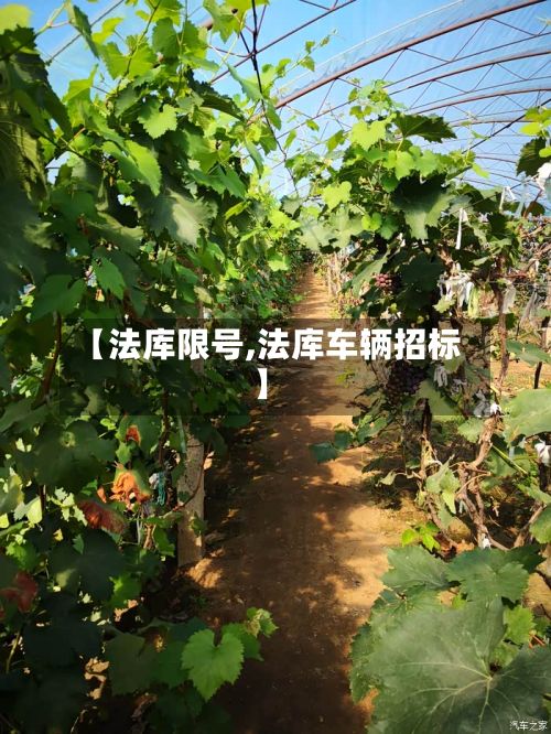 【法库限号,法库车辆招标】