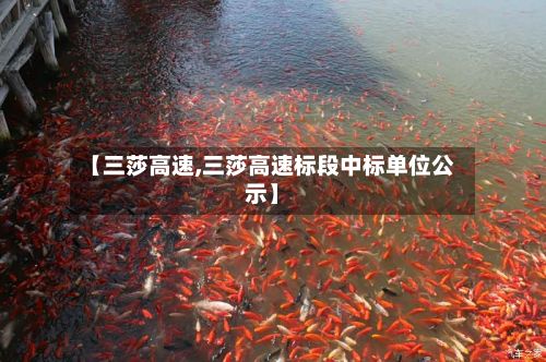 【三莎高速,三莎高速标段中标单位公示】-第1张图片