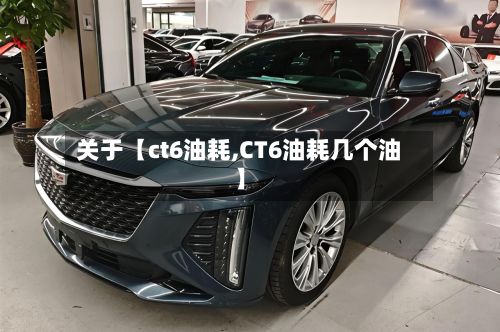 关于【ct6油耗,CT6油耗几个油】-第3张图片