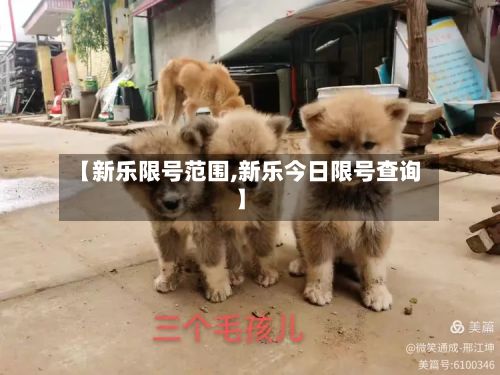 【新乐限号范围,新乐今日限号查询】-第1张图片