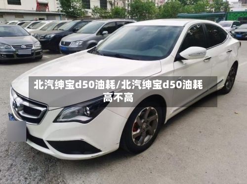 北汽绅宝d50油耗/北汽绅宝d50油耗高不高-第3张图片