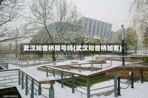 武汉知音桥限号吗(武汉知音桥加宽)