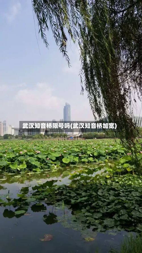 武汉知音桥限号吗(武汉知音桥加宽)-第3张图片