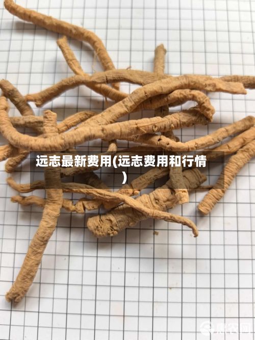 远志最新费用(远志费用和行情)-第3张图片