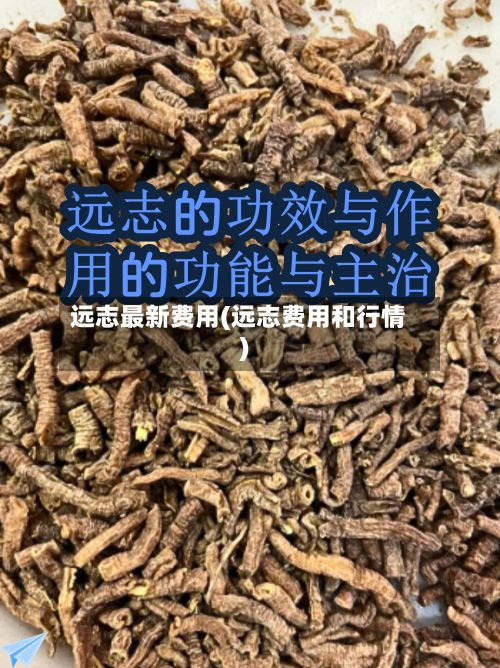 远志最新费用(远志费用和行情)-第2张图片